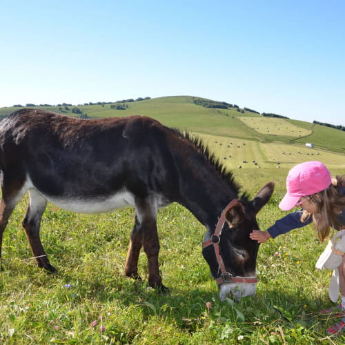 A la découverte des animaux de la ferme