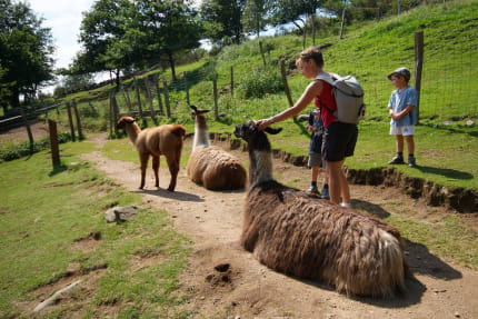 Kuzco un peu mégalo mais tellement rigolo
