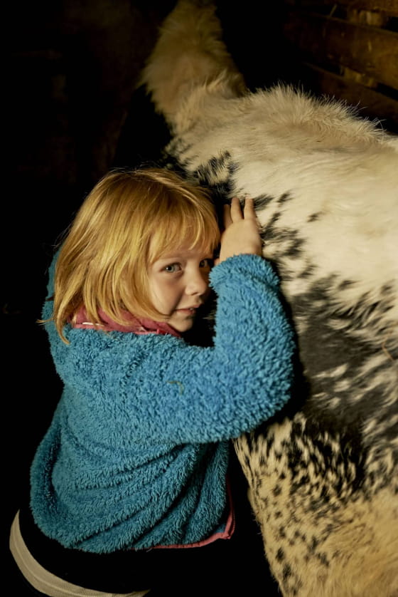 Les animaux, source de bien être