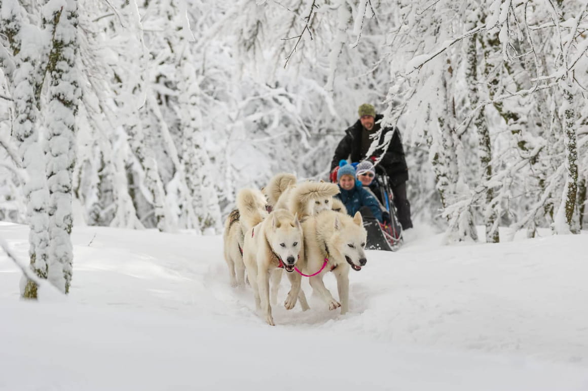 Un moment de complicité avec les chiens de traîneaux
