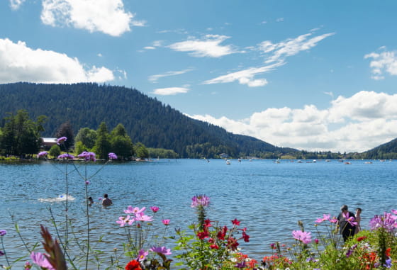 Hautes Vosges - Lac de Gérardmer