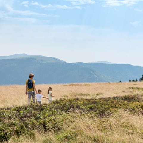 Hautes Vosges - Paradis de la randonnée