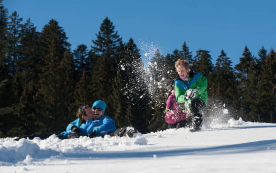 Massif des Vosges -Bataille de boules de neige
