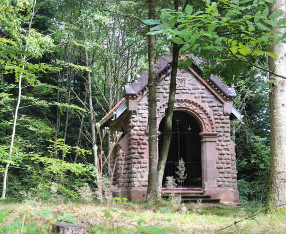 Vosges Centrales - Le Sotré