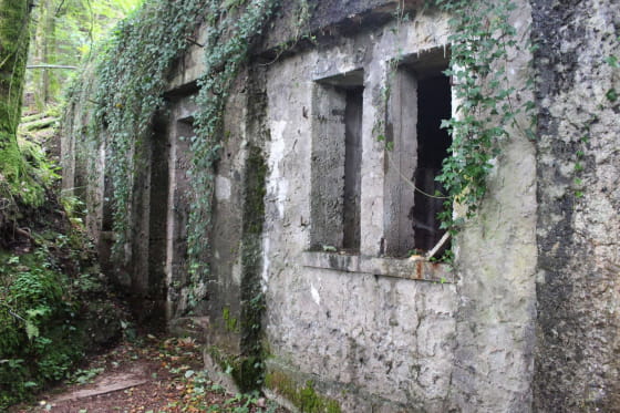 Vosges Centrales - Sentiers de mémoire
