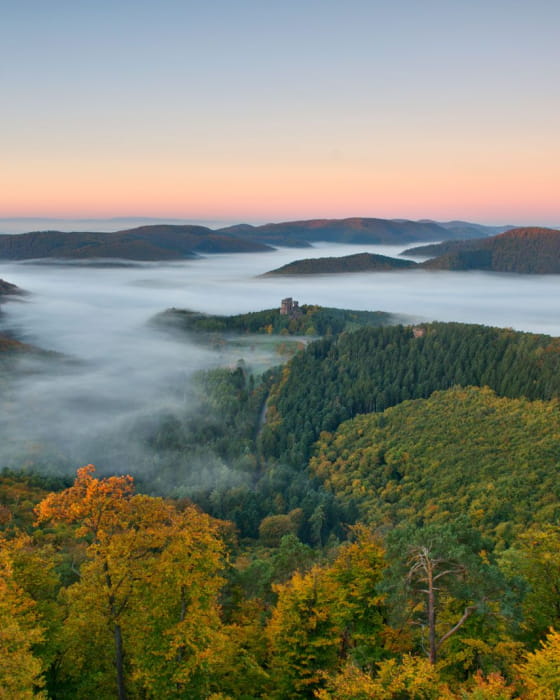 Forêt dans la brume - Fleckenstein Vosges du nord