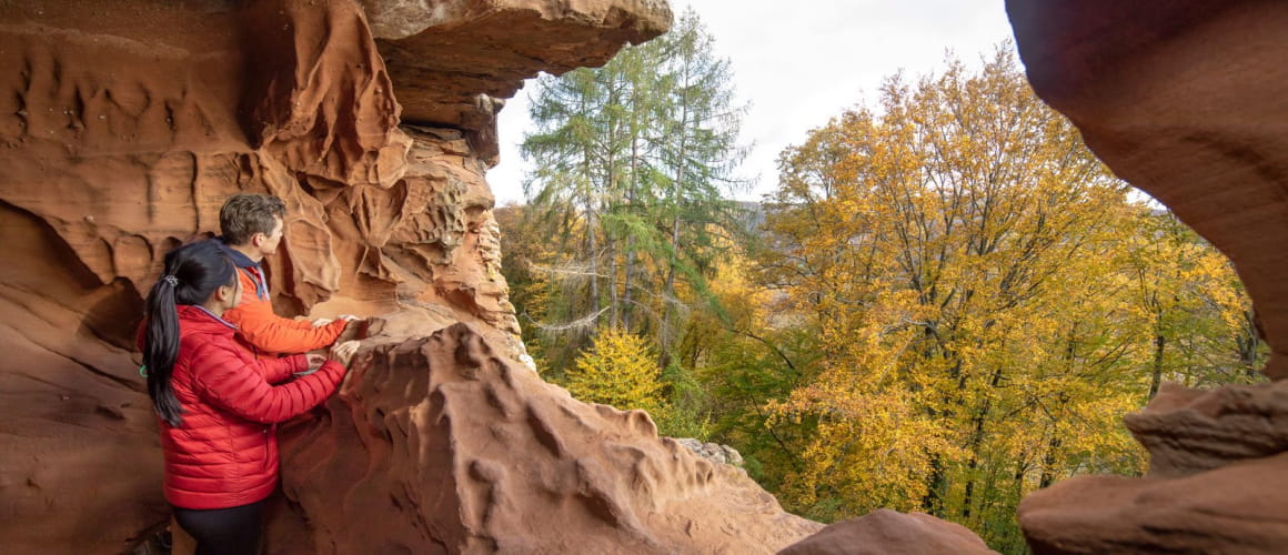 Randonnée Falkenstein dans les Vosges du Nord