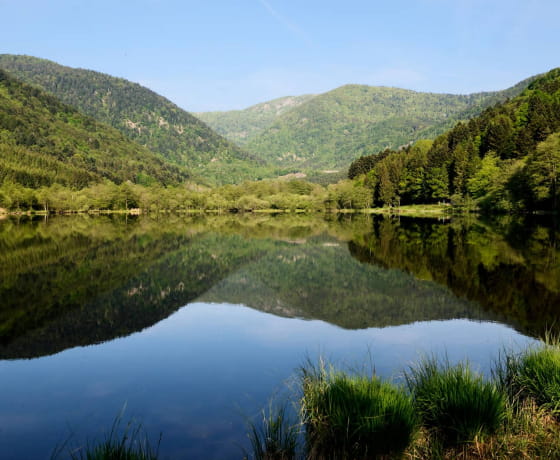 Vosges du Sud - Lac Sewen