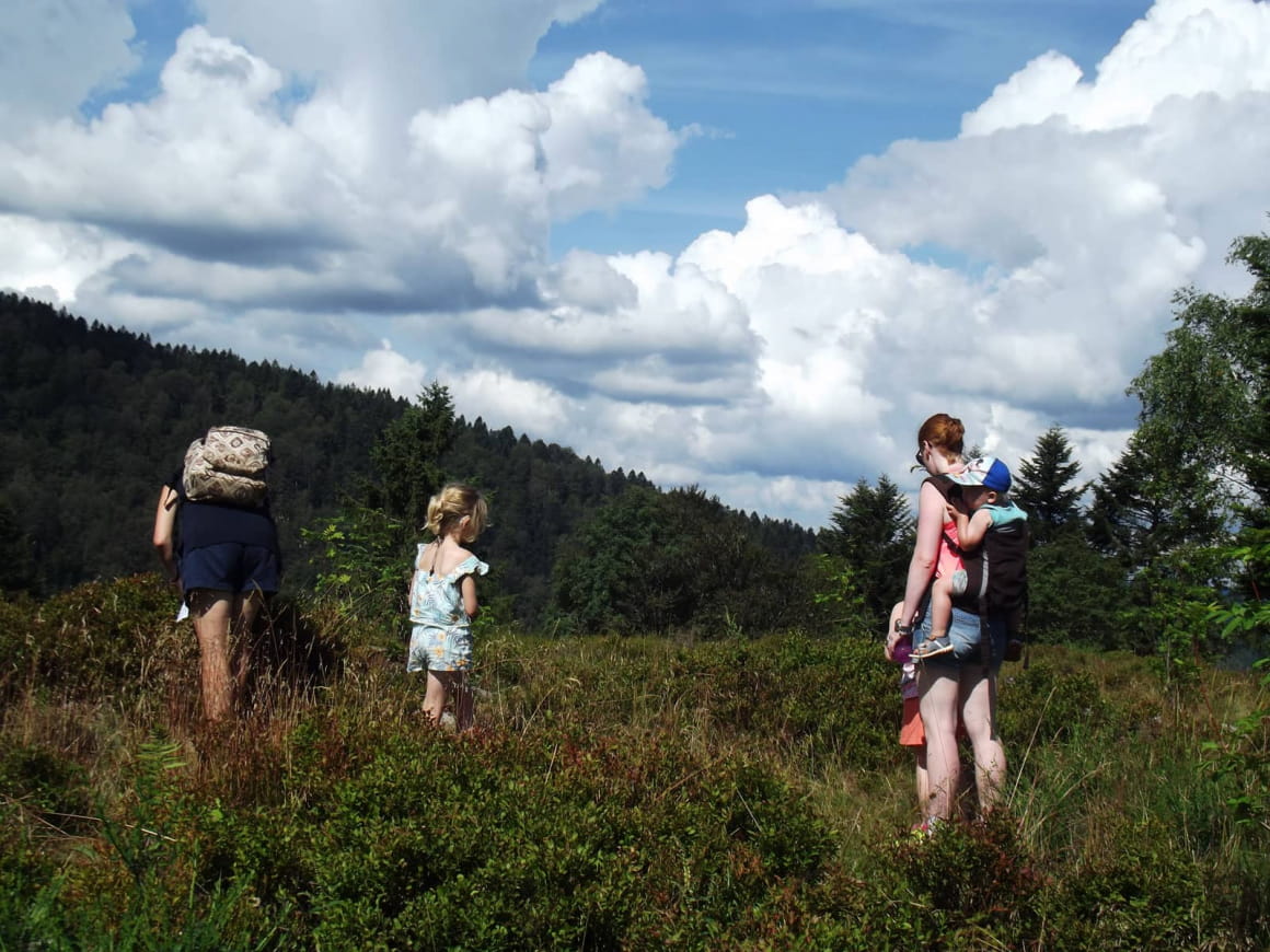 Massif des Vosges - Doucement mais surement