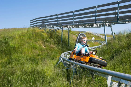 Luge d'été dans le massif des Vosges