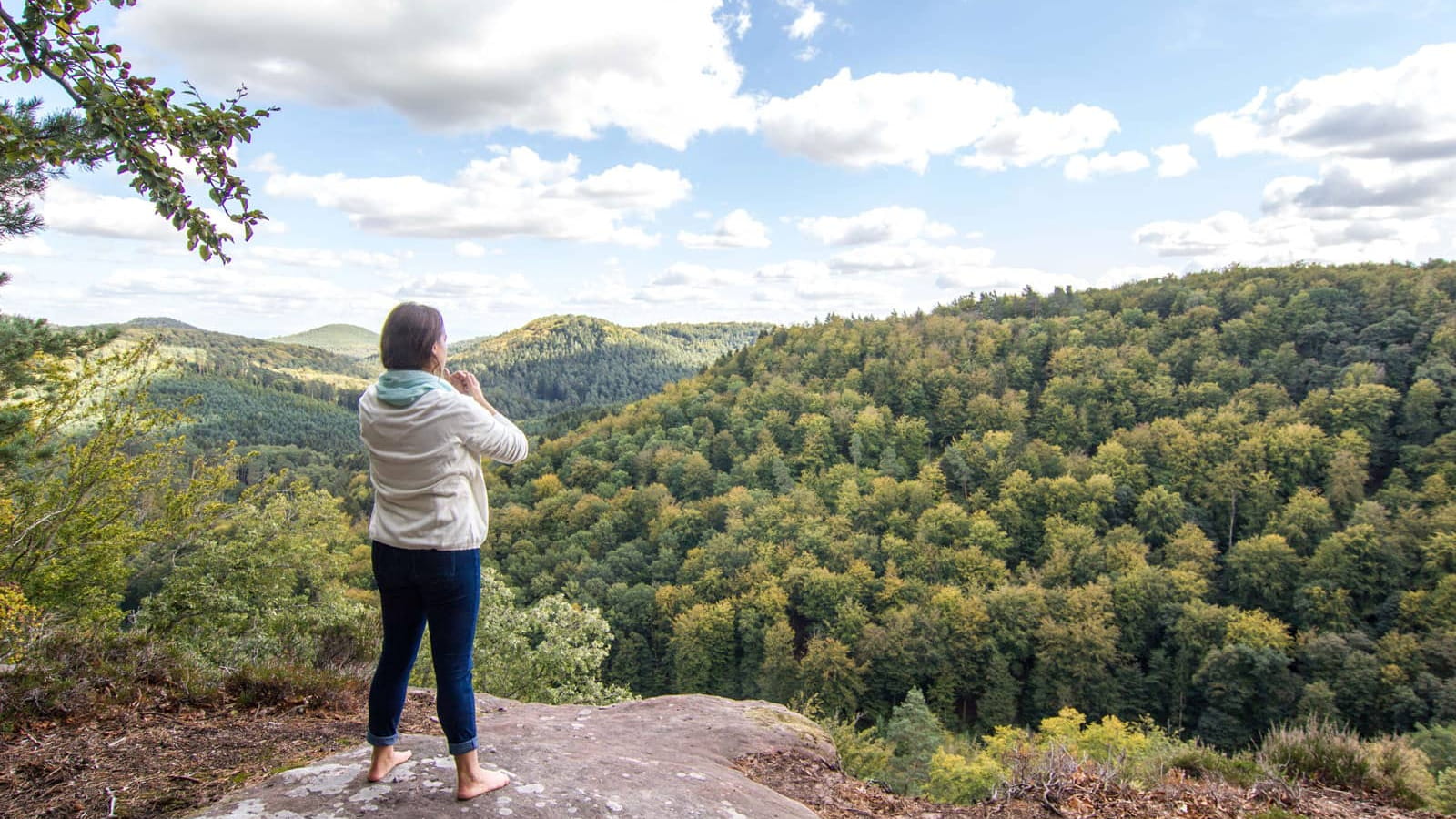 Massif des Vosges - Prendre un bain de forêt