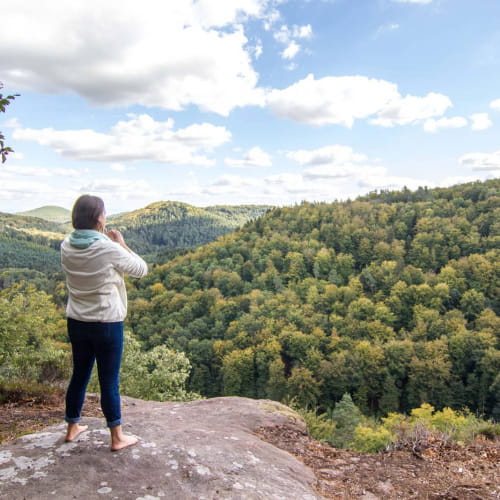 Massif des Vosges - Prendre un bain de forêt