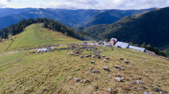 Massif des Vosges - Repas marcaire sur les Ballons des Vosges