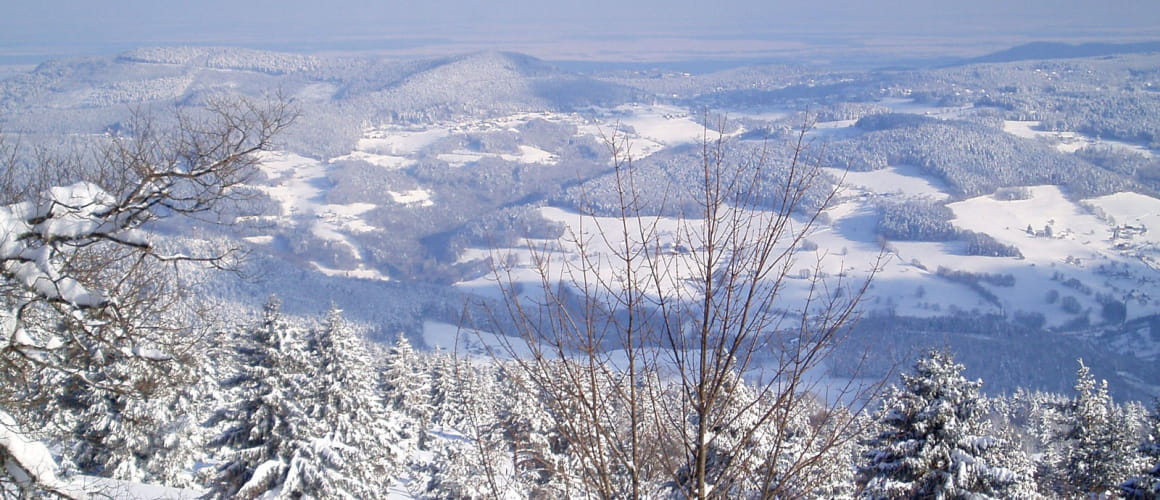 Sous un air de Grand Nord