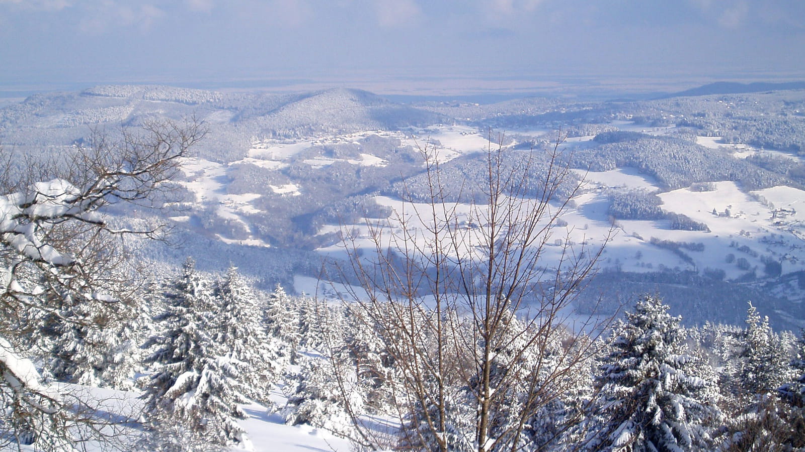 Sous un air de Grand Nord