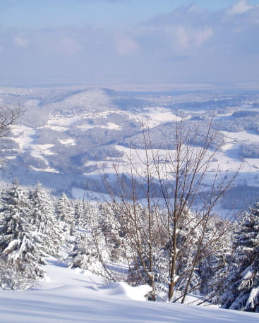 Sous un air de Grand Nord