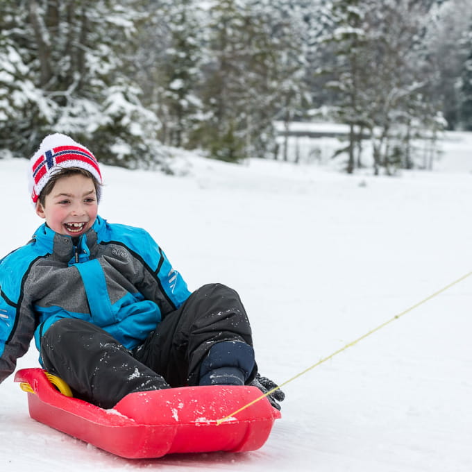 Massif des Vosges - Top 5 luge - Bussang