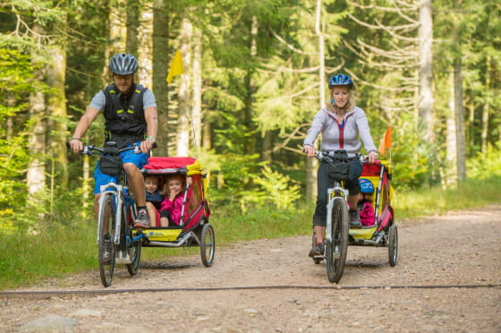 Massif des Vosges - Voyager en famille - Activités pour les petits et les grands