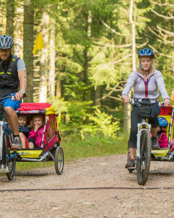 Massif des Vosges - Voyager en famille - Activités pour les petits et les grands