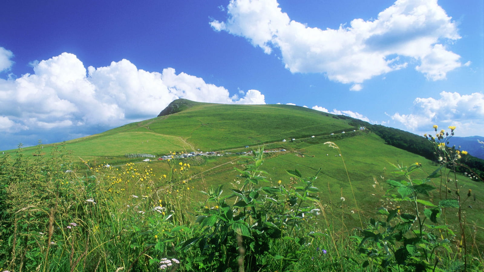Le Rothenbachkopf