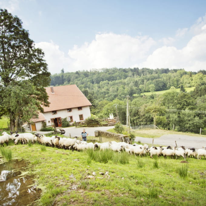 Ferme Auberge les Grands Prés