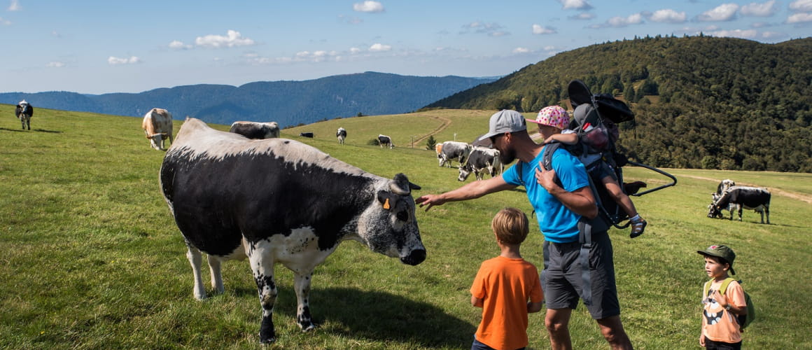 balade près du hahnenbrunnen