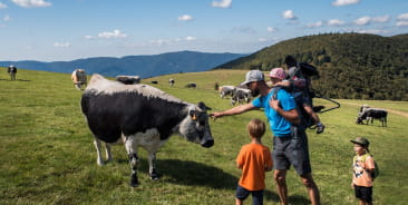 balade près du hahnenbrunnen
