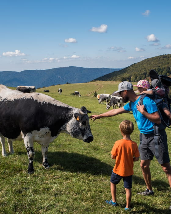 balade près du hahnenbrunnen