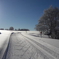 Domaines nordique Lispach