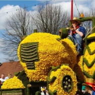 Gerardmer fête des jonquilles