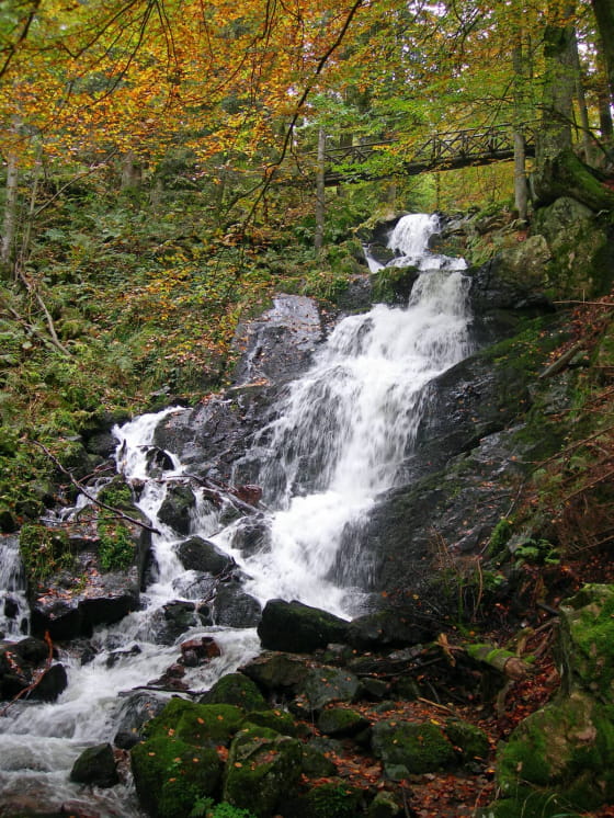 Cascade de la Serva