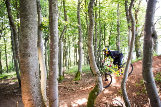 Massif des Vosges descentes en pleine montagne