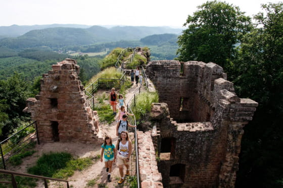 Philippsbourg les ruines du Falkenstein