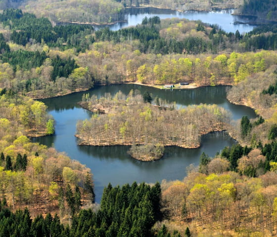 Plateau des Mille Étangs