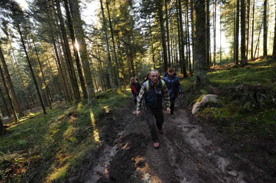 Se ressourcer dans la nature