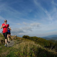 Trail sur les sommets vosgiens