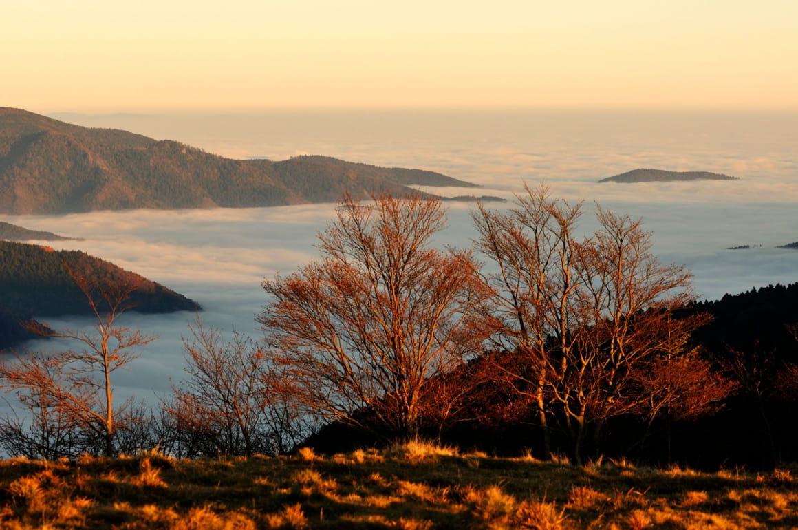 Vue de la vallée de la Doller et du Ballon d'Alsace