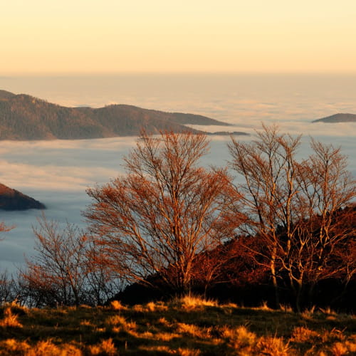 Vue de la vallée de la Doller et du Ballon d'Alsace