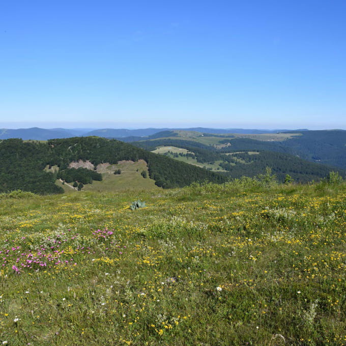 Réflexe 5