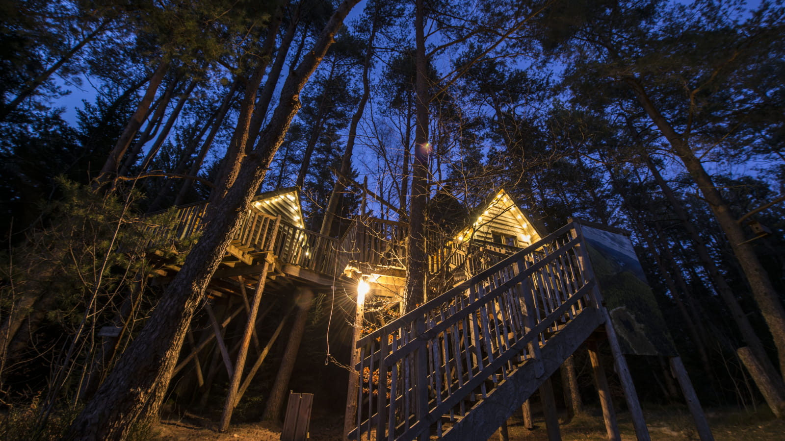 Cabanes dans les arbres