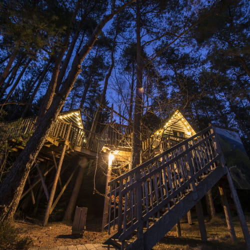 Cabanes dans les arbres