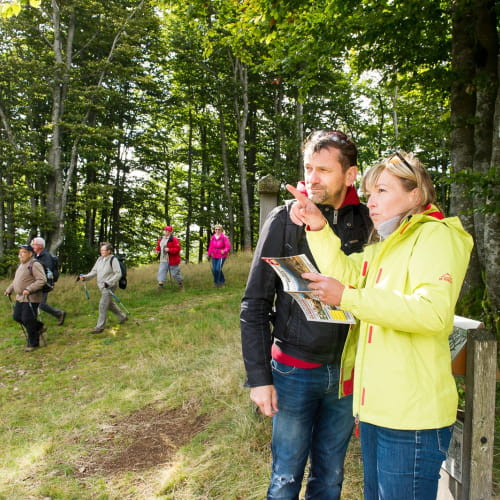 Traversée du massif des Vosges à pied