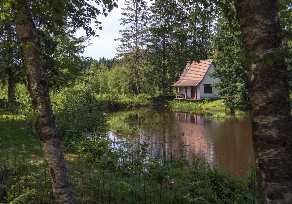 Cabane au bord de l'eau - plateau des 1000 étangs
