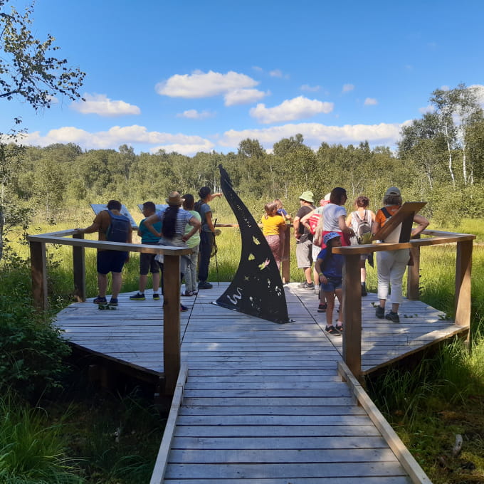 Groupe qui observe la Tourbière de la Grande Pile