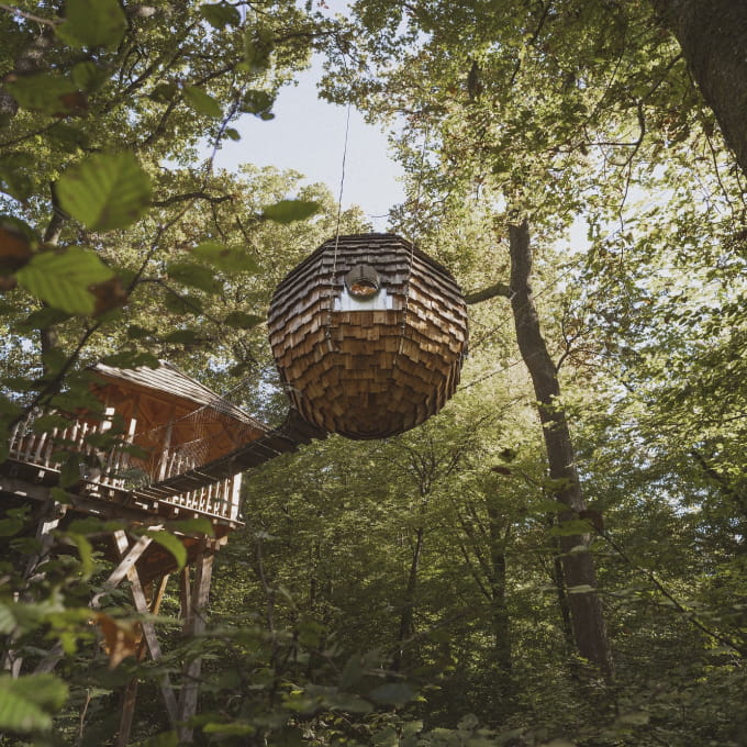 Cabane dans les arbres vue du bas