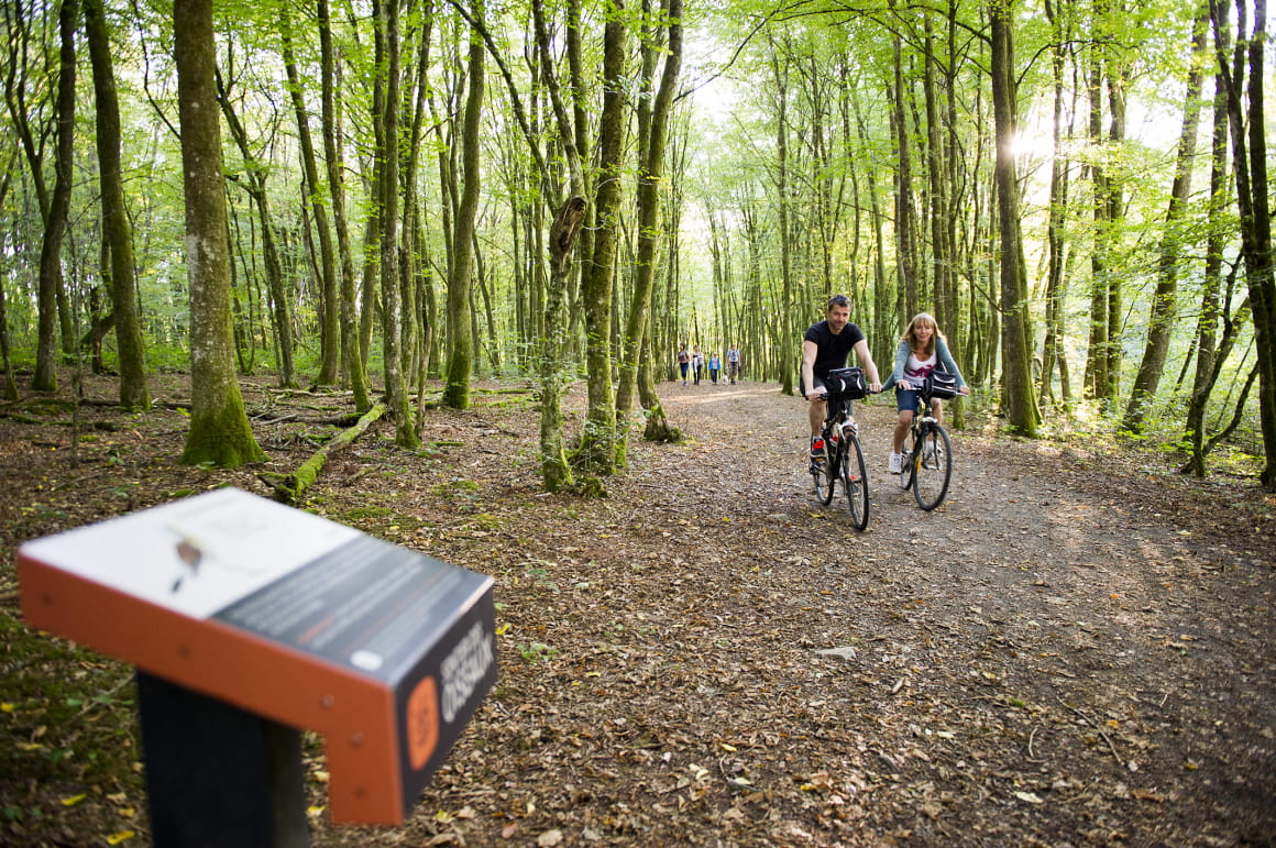Promenade à Vélo au Malsaucy