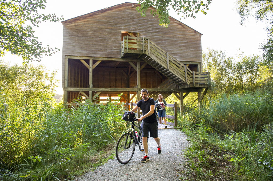 Pause dans une cabane à VTT au Malsaucy