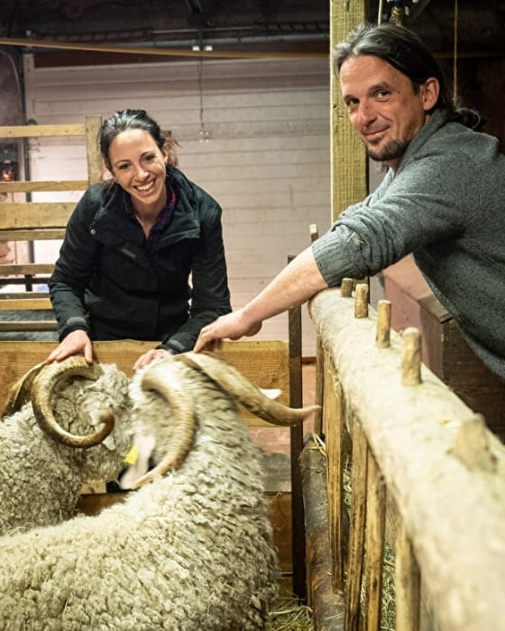 Caresser des chèvres Angora