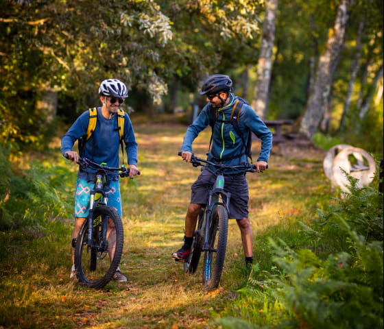 Amis à VTT dans la forêt au 1000 étangs