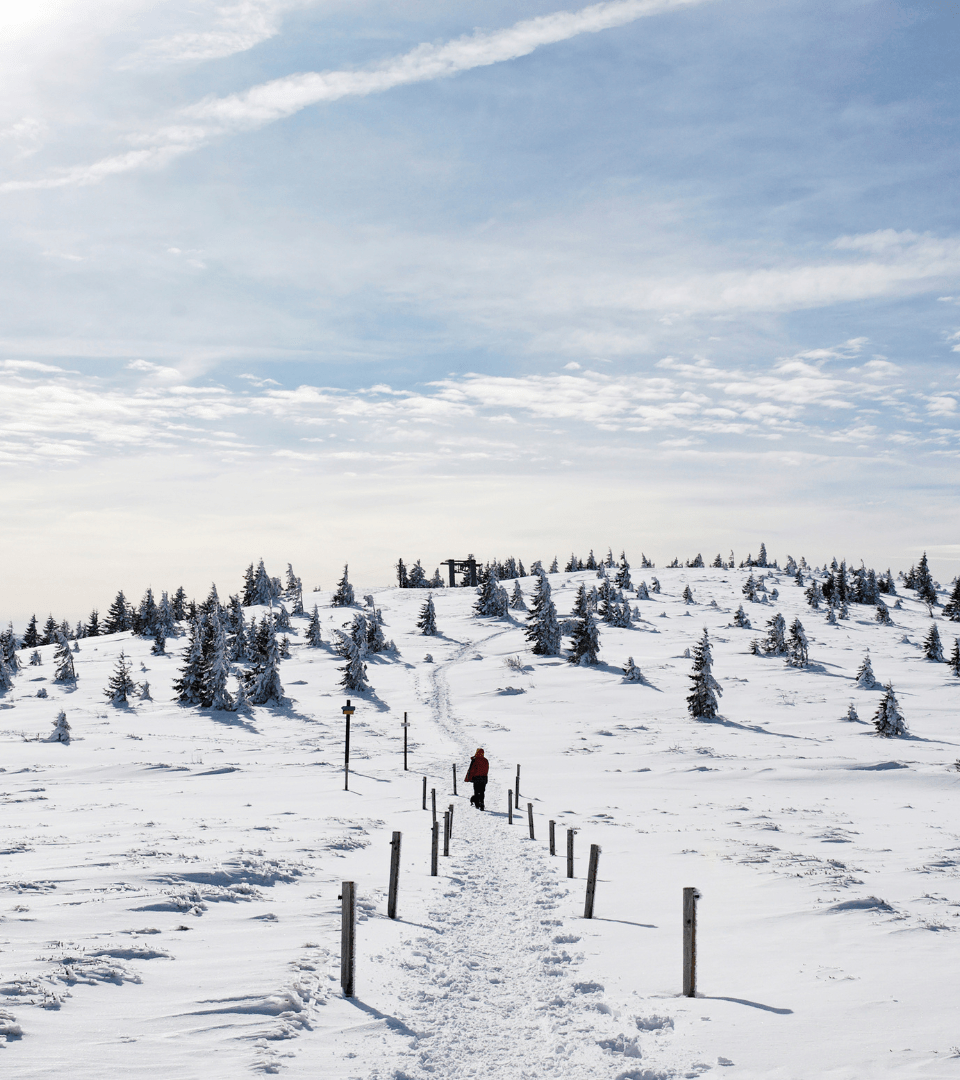 explorer le massif des Vosges en hiver